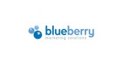 Blueberry Marketing Solutions